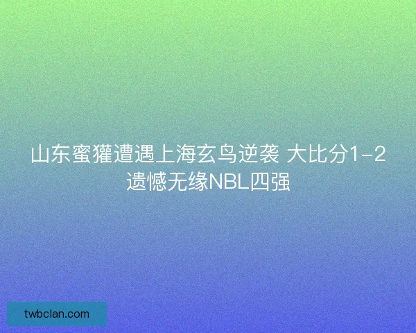 山东蜜獾遭遇上海玄鸟逆袭 大比分1-2遗憾无缘NBL四强 山东蜜獾遭遇上海玄鸟逆袭 大比分1-2遗憾无缘NBL四强