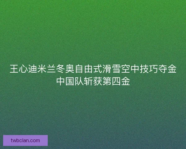 王心迪米兰冬奥自由式滑雪空中技巧夺金中国队斩获第四金